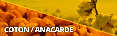 ad-cajou-coton1