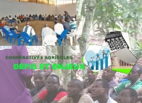 Sociétés Coopératives Agricoles en Côte d'Ivoire : Défis et Enjeux